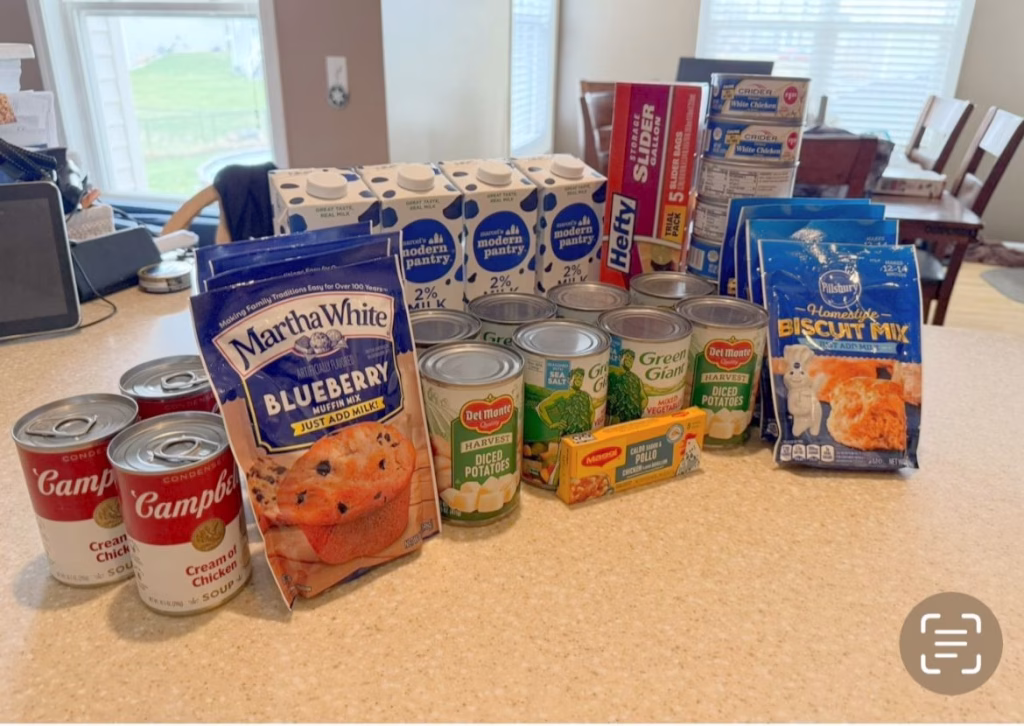 Dollar Tree Chicken and Dumplings